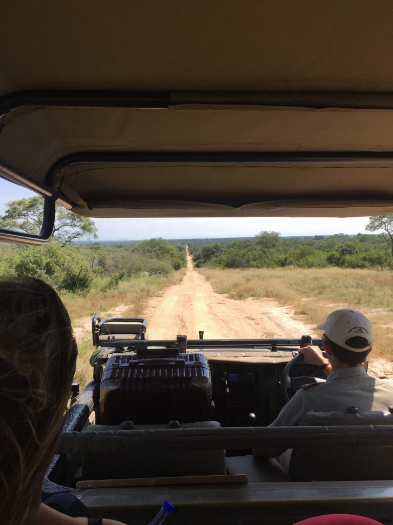 Skukuza Airport Drive