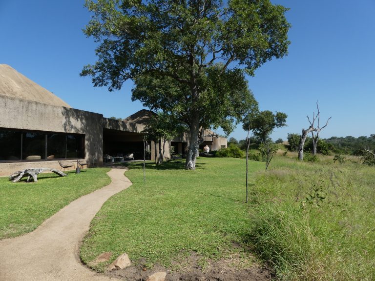 Sabi Sabi Earth Lodge grounds