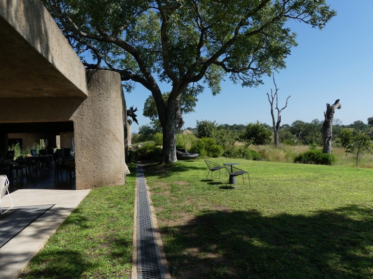 Sabi Sabi Earth Lodge surroundings
