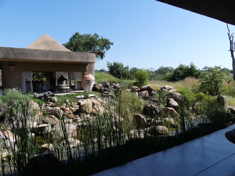 Sabi Sabi Earth Lodge lobby view