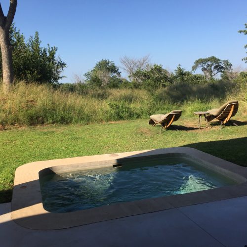 Sabi Sabi Earth Lodge Plunge Pool
